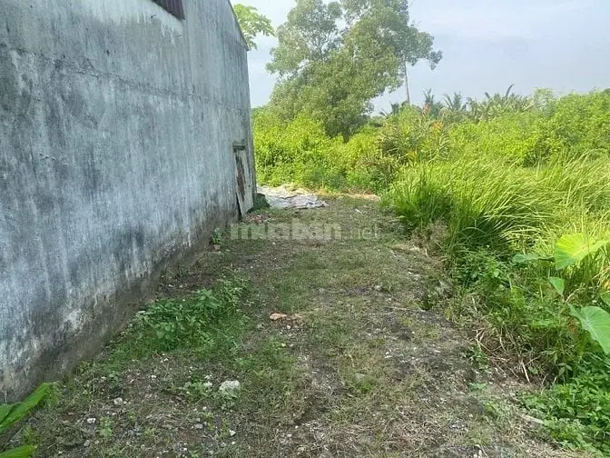 6023142 ảnh đại diện 1