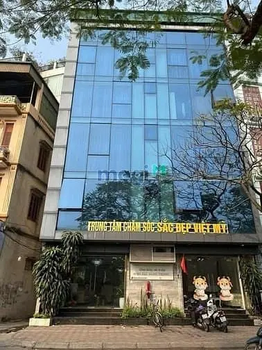 6023305 ảnh đại diện 1