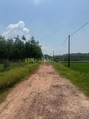 6023466 ảnh đại diện 1