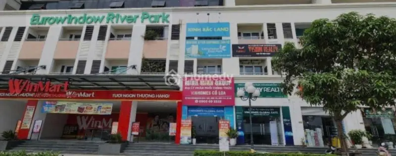 6023164 ảnh đại diện 1