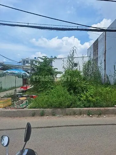 Bán Gấp 53M2 Đất Thổ Cư -Shr - Phú Thuận -Quận 7