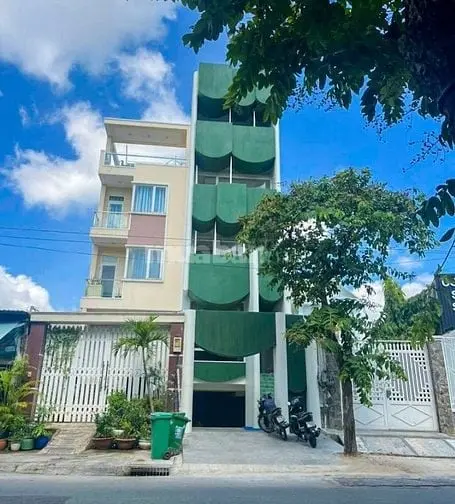6023255 ảnh đại diện 1