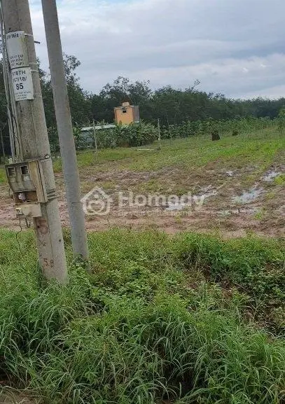 Cần Tiền Bán Gấp Trong Tháng , Giảm Sâu Lô Đất Mặt Tiền Đường Nhựa 30M