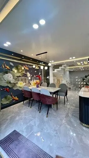 Nhà Vip Hồ Biểu Chánh - Chưa Đến 5 Tỷ, 62M2, Hẻm Nhưa Thông, Shr, Tl
