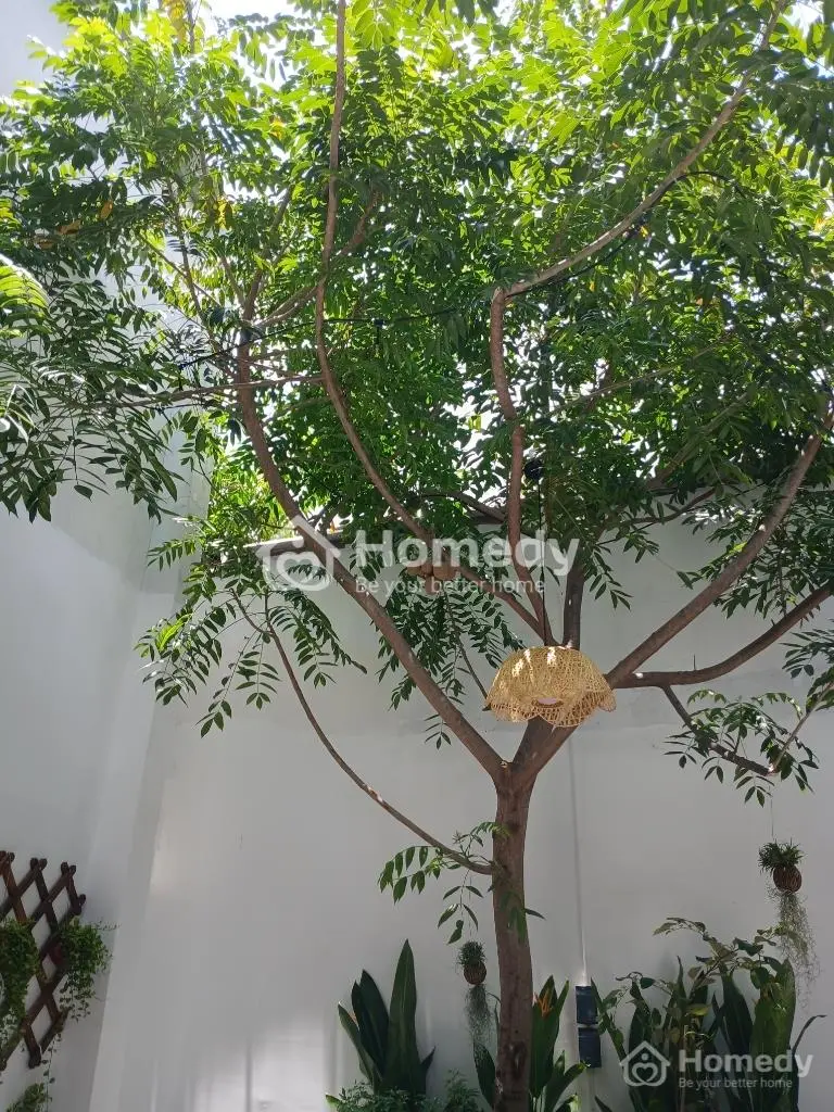 Nhà Sân Vườn 2 Tầng 8X9,8(90M2) Hẻm Xe Máy Đường Thích Quảng Đức - Hoàng Hoa Thám