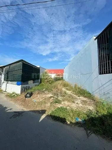 6023700 ảnh đại diện 1