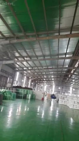 6023704 ảnh đại diện 1