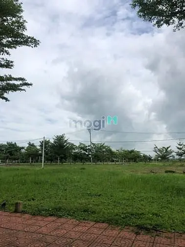 6023617 ảnh đại diện 1