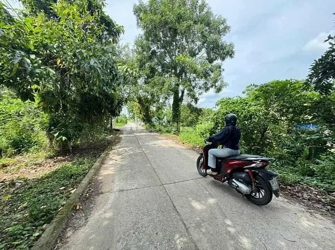 6023697 ảnh đại diện 1