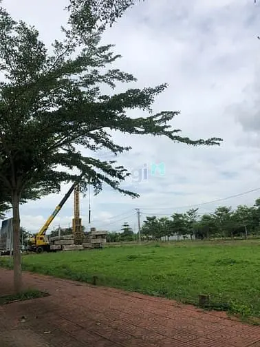 "Chốt Velora Hôm Nay – Giá Tăng Ngày Mai!"