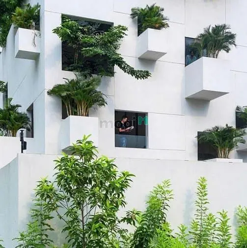 6023470 ảnh đại diện 1
