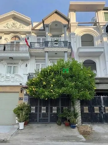 6023558 ảnh đại diện 1