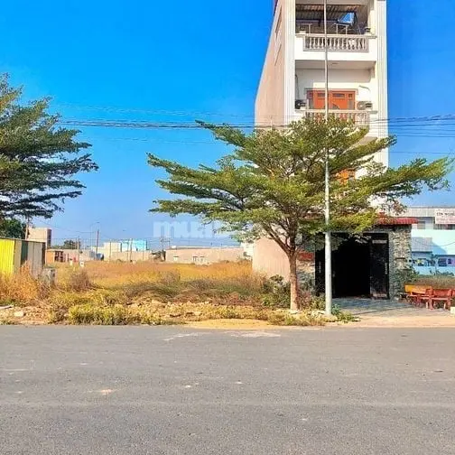 6023668 ảnh đại diện 1