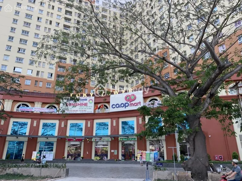 6023594 ảnh đại diện 1