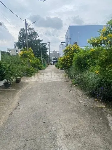 6023604 ảnh đại diện 1