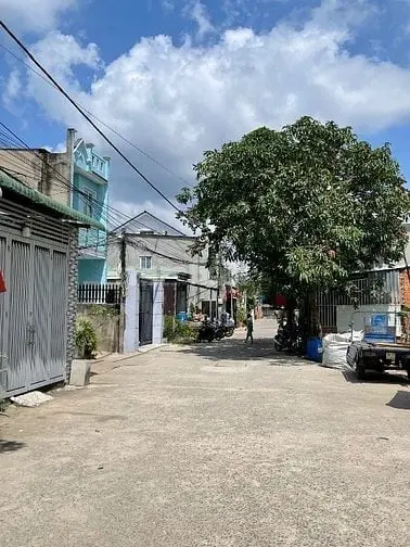 6023595 ảnh đại diện 1