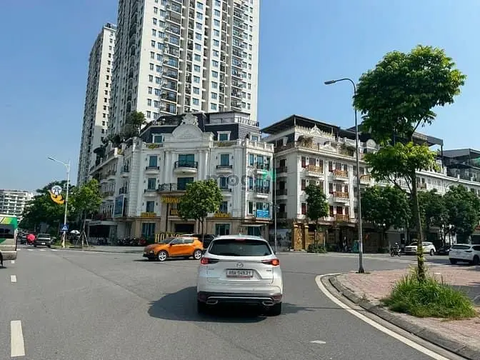 6023545 ảnh đại diện 1
