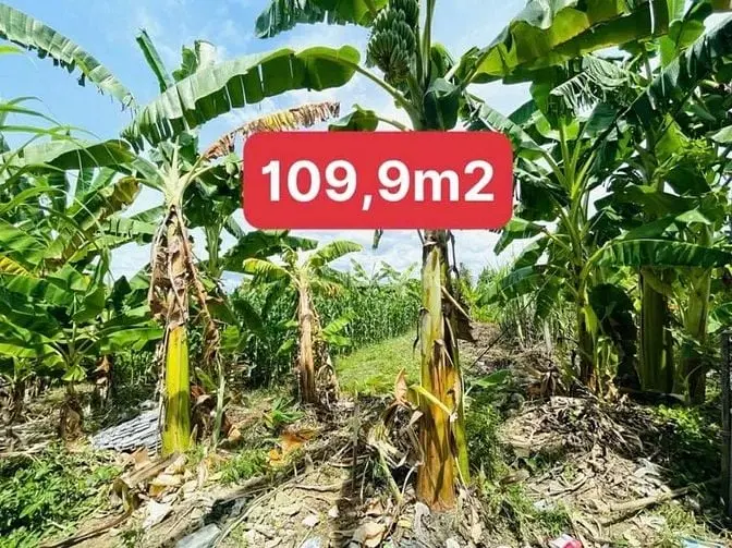 Da68 Bán Đất Hẻm 4M Thôn Phú Ân Nam Xã Diên An