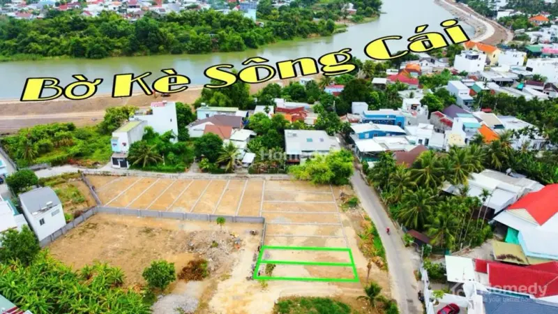 6023834 ảnh đại diện 1