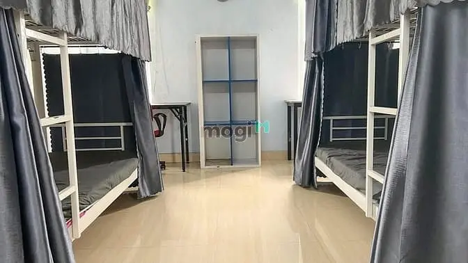 6023848 ảnh đại diện 1