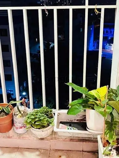 Chung Cư 10A Trần Nhật Duật,Tân Định, Q1: 70M2, 2P Ngủ, 12Tr/Th