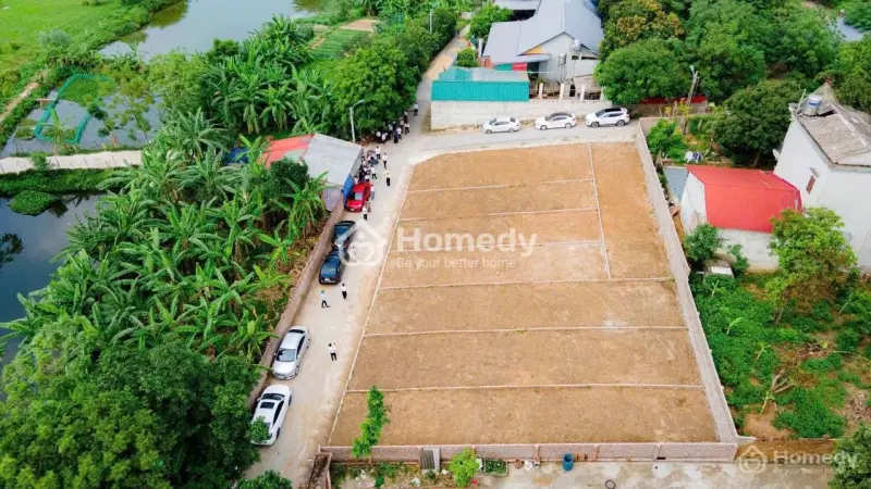 6024031 ảnh đại diện 1