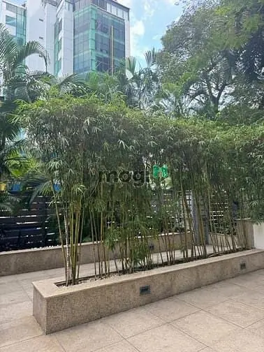 🏙️ Sống Chuẩn Quốc Tế – Trái Tim Sài Gòn 📍 05 Căn Hộ Avalon Saigon