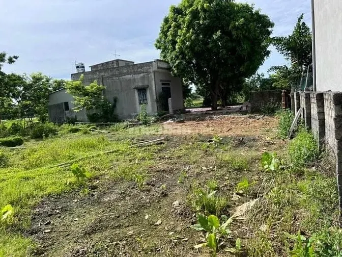 Hưng Thịnh, Trần Phú, Chương Mỹ