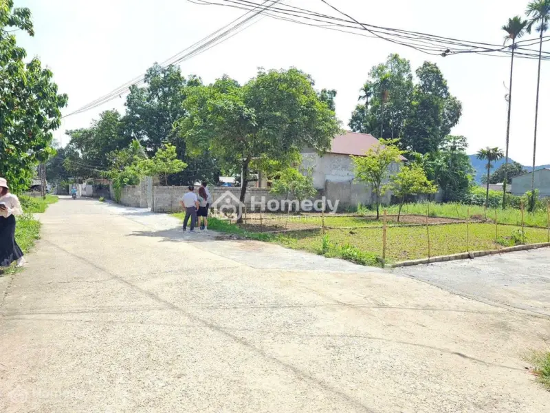 6025463 ảnh đại diện 1