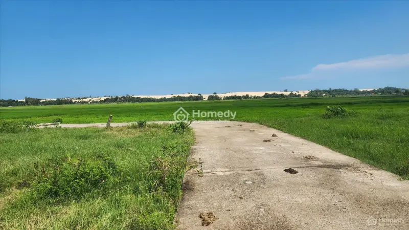 Bán 5M X 25M Đất Odt Hẻm Lý Thái Tổ - Lagi Giá Rẻ 600 Triệu Gần Biển