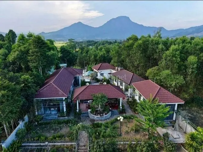 6024210 ảnh đại diện 1