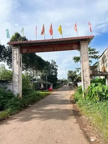 500M2 Đất Hoà Đông Km15 Sau Trường Thcs Hoà Đông,Trạm Y Tế, Đăng Kiểm