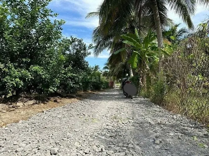 6024856 ảnh đại diện 1
