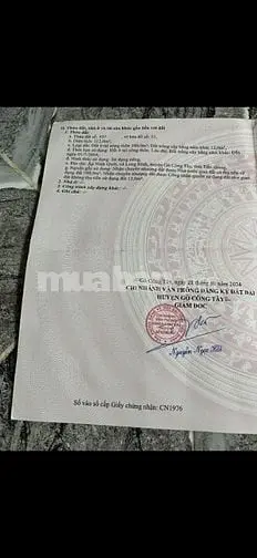 6025391 ảnh đại diện 1