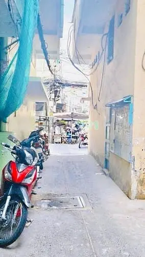 6024788 ảnh đại diện 1