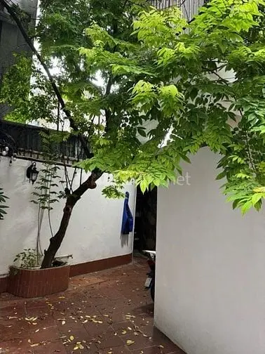 Mảnh Vàng Kim Mã. Ba Đình Hà Nội. Xây Căn Hộ Dòng Tiền. Hoặc Biệt Thự