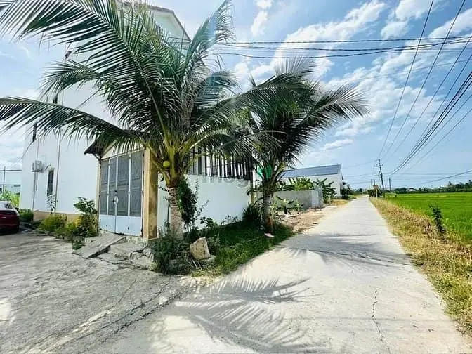 6025220 ảnh đại diện 1