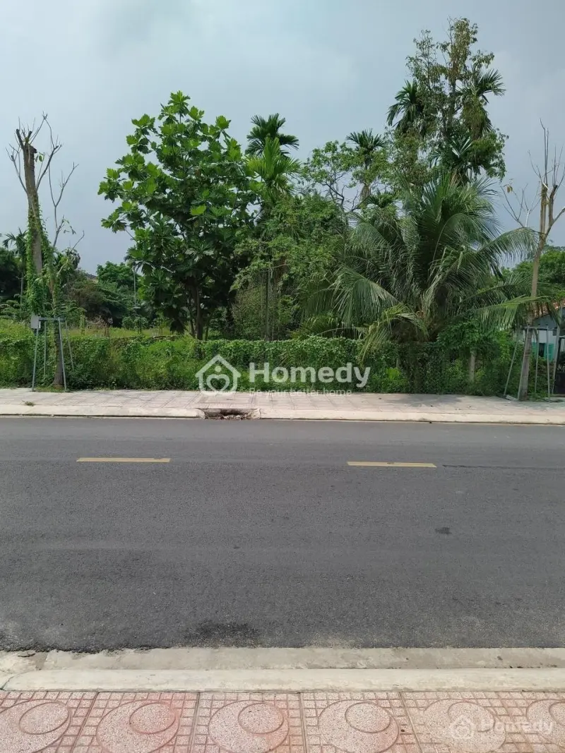 6025011 ảnh đại diện 1