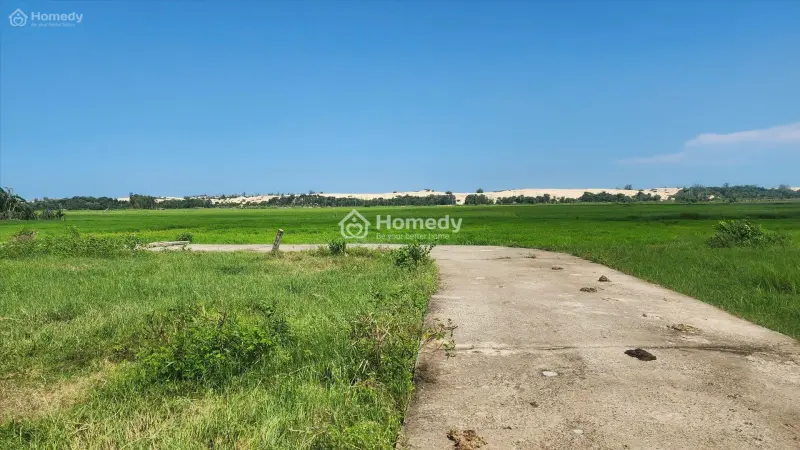Bán 5M X 25M Đất Odt Hẻm Lý Thái Tổ - Lagi Giá Rẻ 600 Triệu Gần Biển