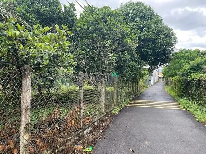 Dpu27 Bán Đất Đẹp Đườngnhựa Thôn An Đinh Diên Phước