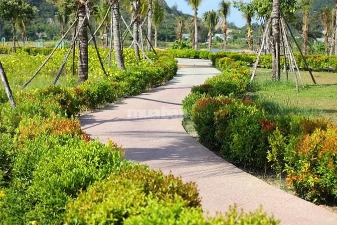 Mở Bán Phân Khu Đầm Sen - Nam Hoà Xuân