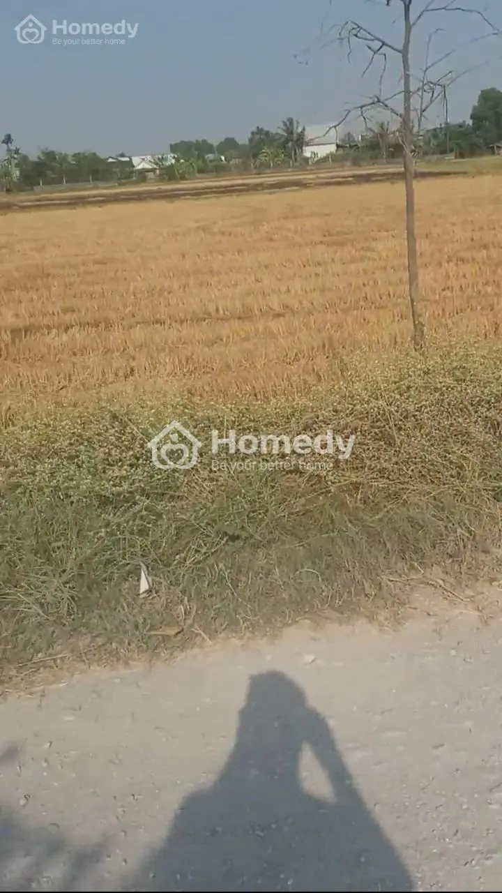 Bán Đất Nền Dự Án Huyện Đức Hòa - Long An Giá 2.60 Tỷ