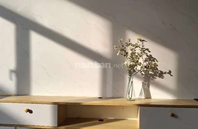 6025585 ảnh đại diện 1