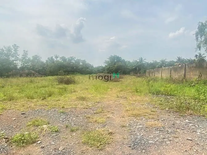 Bán Đất Đường Số 1, P. Long Phước, Quận 9 – Sát Cầu Long Đại 🔥 Giá Tl