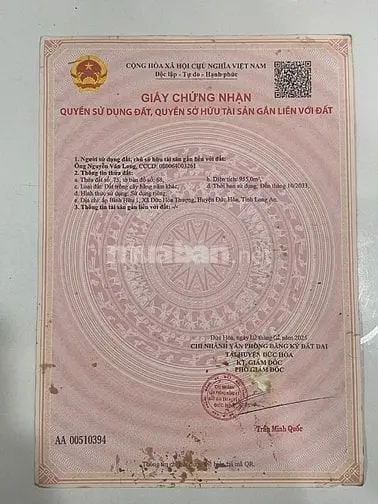 6024315 ảnh đại diện 1