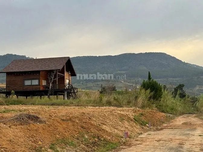 Bán Đất Ở Giá Rẻ - Sổ Riêng Xây Dưng- Xã Đông Thanh, Lâm Hà