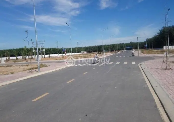 6025505 ảnh đại diện 1