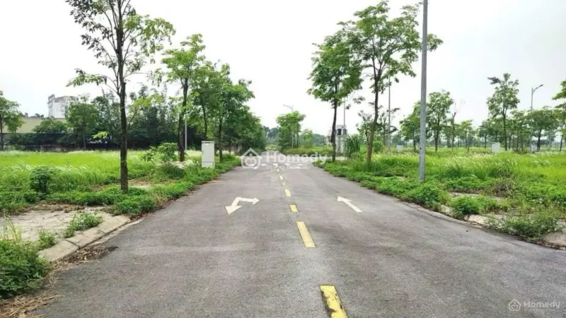 Bán 180M Đất Biệt Thự Tái Định Cư Đông Nam Cổ Dương - Lô 3 Mặt Tiền - Mặt Đường Đôi 23M