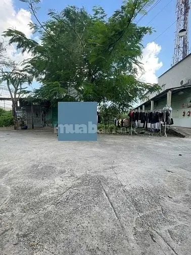 Bán Nhà 4 Tầng 8X20M Full Thổ Cư, 10 Phòng Đang Cho Thuê, Nguyễn Văn