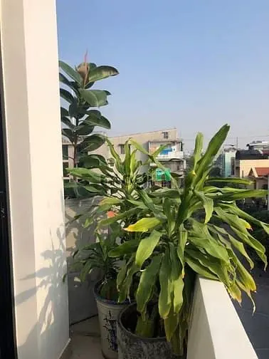 Duplex Full Nội Thất An Ninh Gần Đh Văn Lang Nơ Trang Long Bình Thạnh